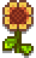 S. Wall Flower.png