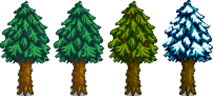 Pine Stage 5.png