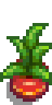 House Plant 2.png