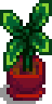 House Plant 5.png