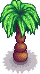Palm tree portrait.png