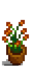 House Plant 6.png