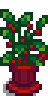 House Plant 7.png