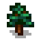 Pine Stage 3.png