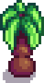 Palm Stage 2.png