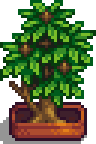 Fancy House Plant 2.png