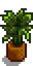 House Plant 11.png