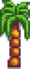 Wall Palm.png