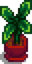 House Plant 5.png