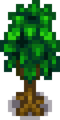 Wild Tree Stage 4.png