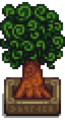 Curly Tree.png