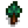 Pine Stage 2.png