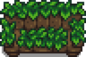 Junimo Couch.png