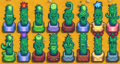 Cactus Options.png