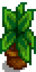 House Plant 15.png
