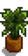 House Plant 11.png