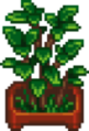 Fancy House Plant.png