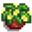 Small Plant.png